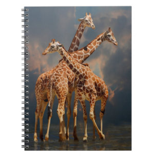 GIRAFFIC FANTASY NOTEBOOK