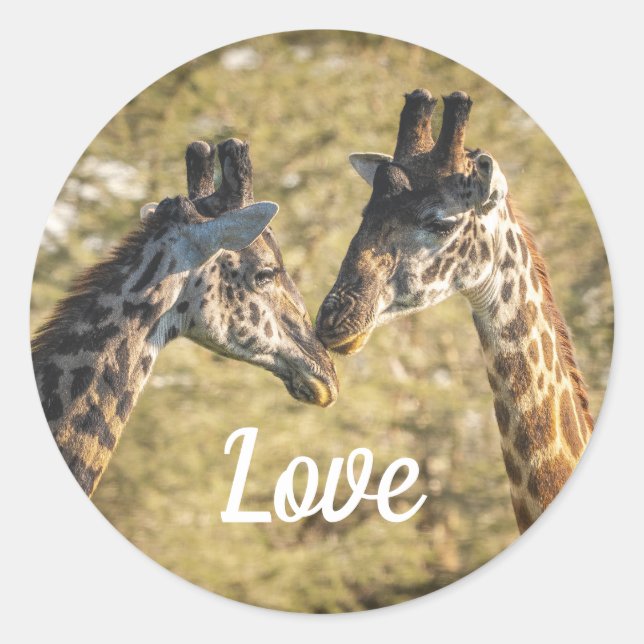 Giraffs in Love Sticker (Front)