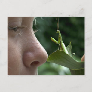 Girl and Mantis religiosa Postcard
