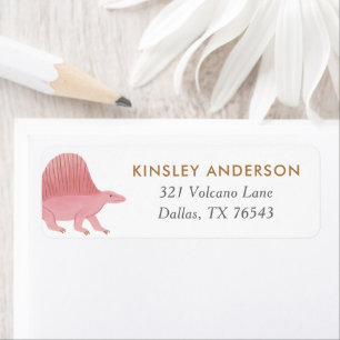 Girl Dinosaur Birthday Party Return Address