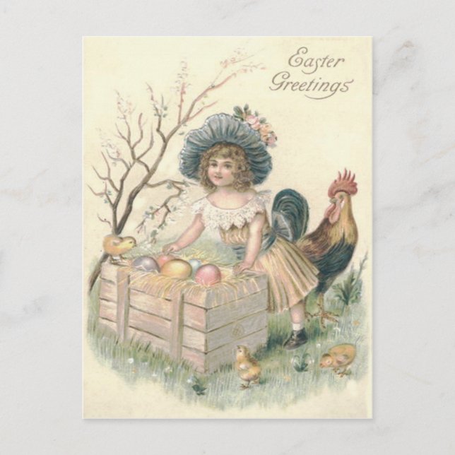 Girl Easter Chick Rooster Coloured Egg Holiday Postcard (Front)