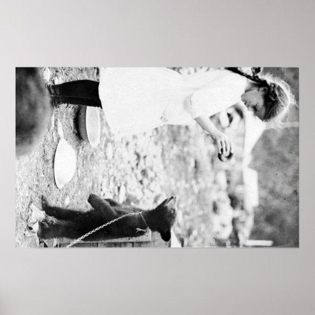 Girl Feeding Bear Cub in Seward Poster (Front)