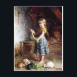 Girl feeding Rabbits Bunnies painting Postcard<br><div class="desc">Girl feeding rabbit bunnies.</div>