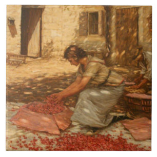 Girl Packing Cherries in Provence (France) Tile