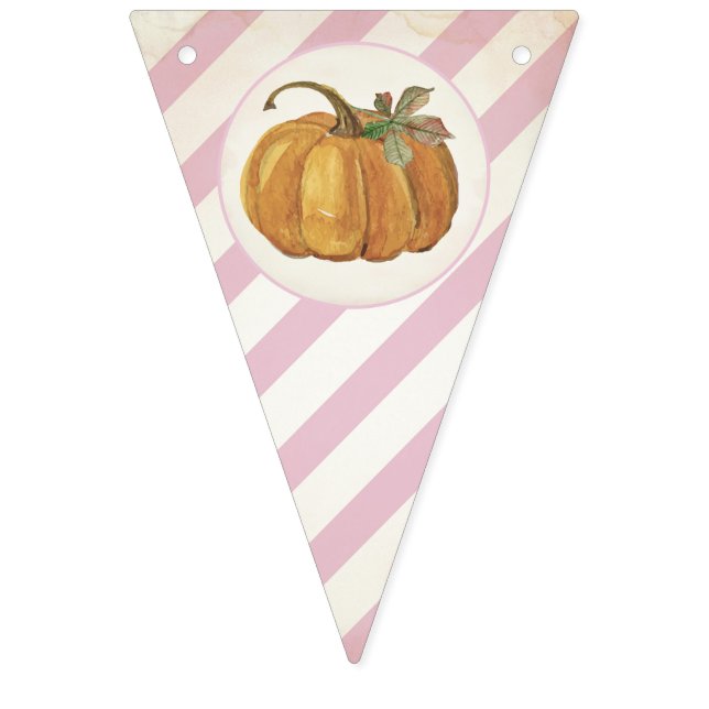 Girl Retro Little Pumpkin Birthday Bunting Flags (First Flag)