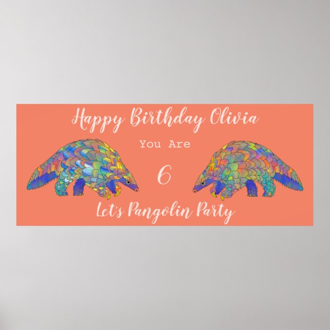 Girls 6th Birthday Party Colourful Pangolin Coral Poster (Front)