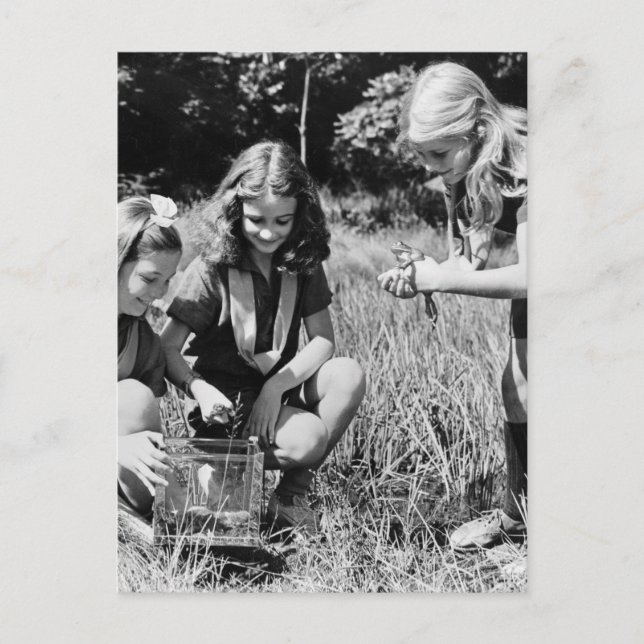Girls Collecting Frogs, 1940s Postcard (Front)