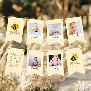 Girls Cute 1st Bee Day Birthday Milestone Photo  Bunting Flags