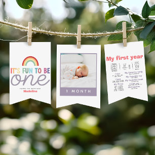 Girls Cute Fun to be One Birthday Milestone Photo Bunting Flags
