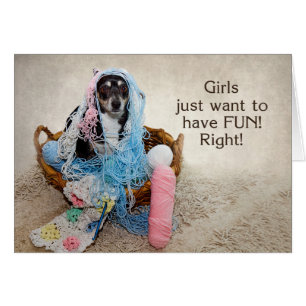 Girls Having Fun - HUMOR - DOG TANGLED IN YARN