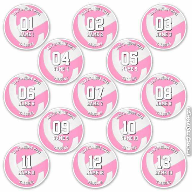 girls pink volleyball team stickers 13 athletes (Devant)