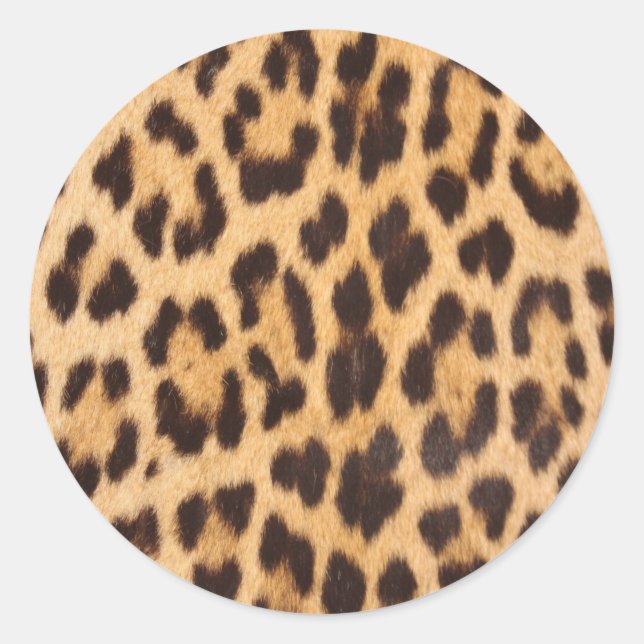 girly chic wild safari animal leopard print classic round sticker (Front)