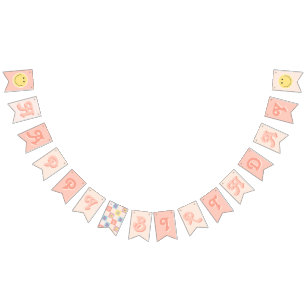 Girly Groovy Birthday Retro 2nd Birthday Bunting Flags