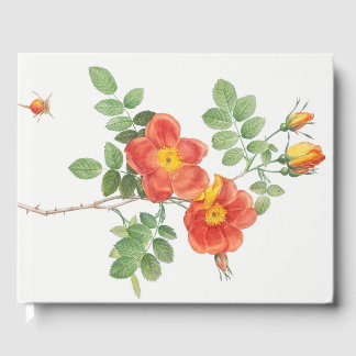 Girly Orange Rose Floral Botanical Guest Book