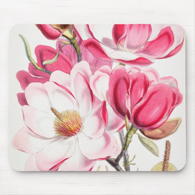 Girly Pink Campbell's magnolia Mouse Pad (Front)