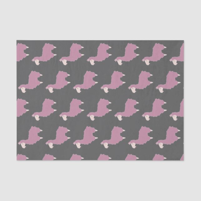 Girly Pink Fluffy Llamas & Grey Tissue Paper (Front)