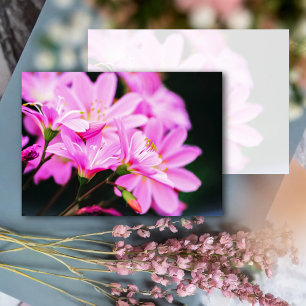 Girly Pink Spring Flowers Nature Card