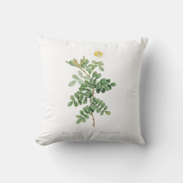 Girly white Rose Botanic Garden Flower Two-Tone Co Throw Pillow (Front)