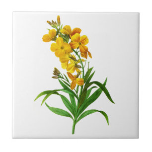 Giroflee Jaune by Pierre Joseph Redoute Tile