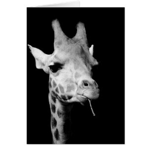 girrafe