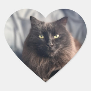 Gitan - Stickers Chat Noir