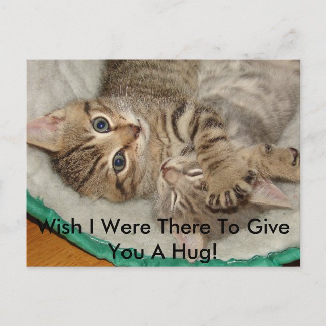 Give A Hug Kitty Postcard (Front)