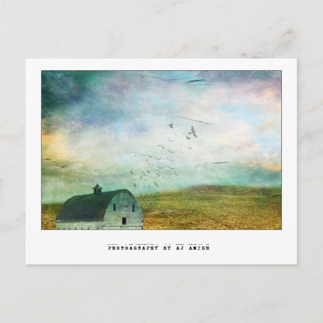 give me back the open sky - postcard (Front)