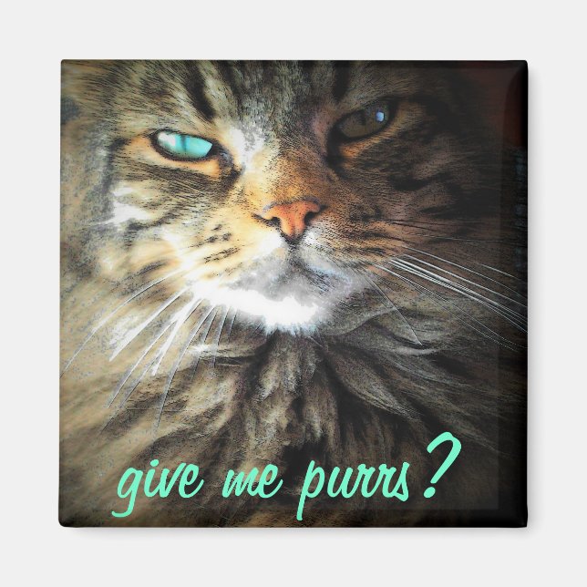 Give me purrs? magnet (Front)