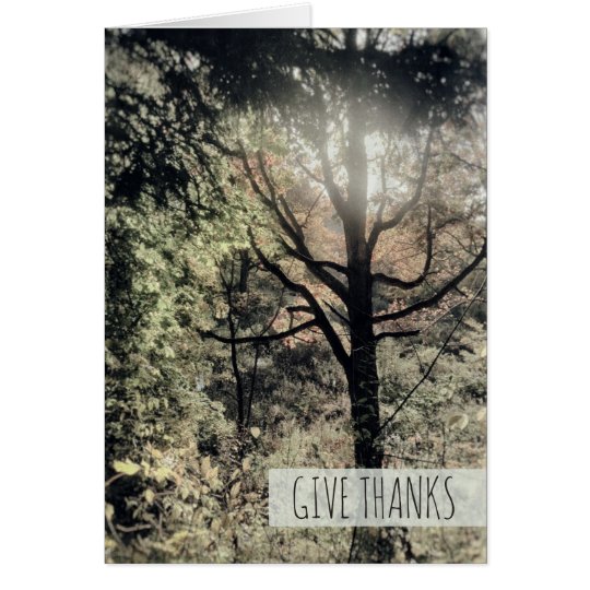 Give Thanks Warm Fall Day Colourful Autumn Forest Card