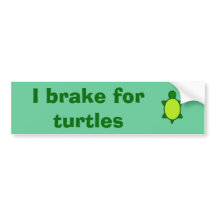 Give turtles a brake!