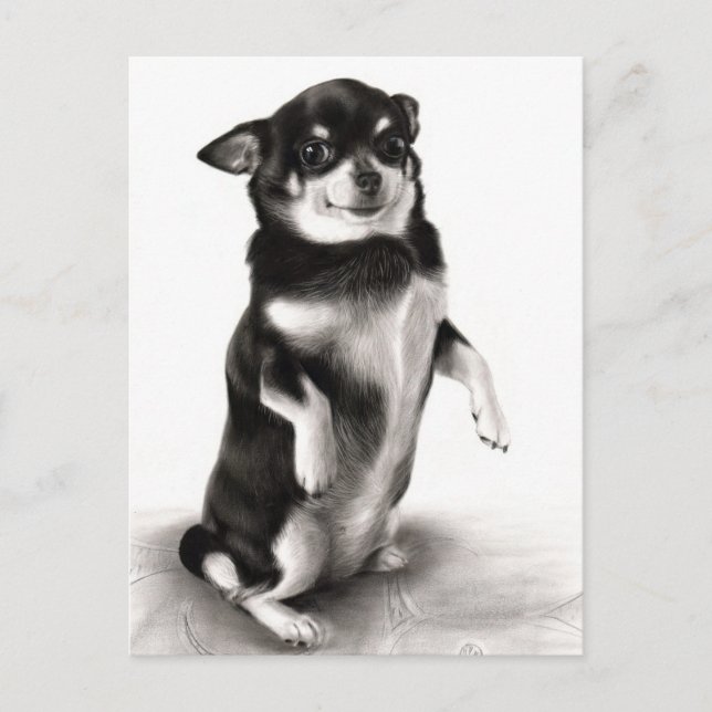 "Gizma"- Award-Winning Chihuahua Painting Postcard (Front)