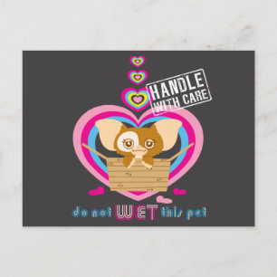 Gizmo Do Not Wet This Pet Postcard