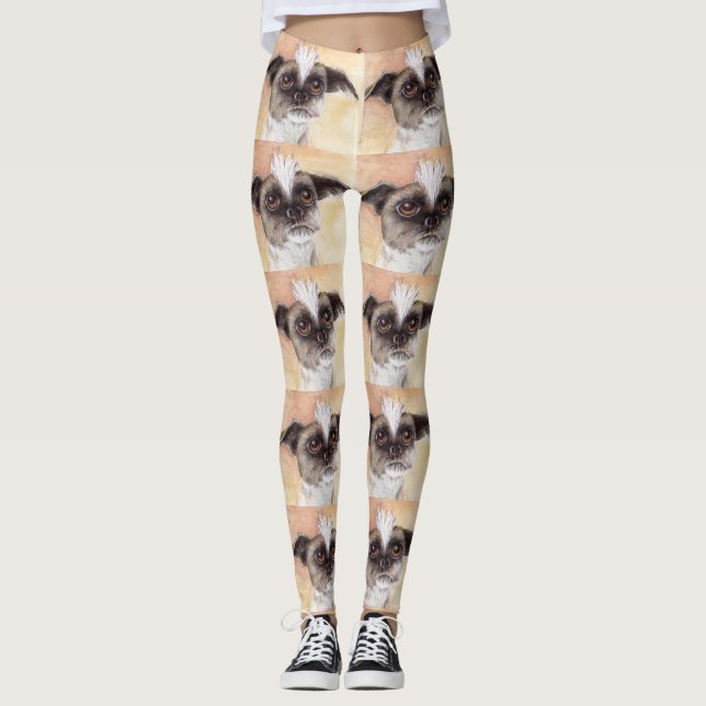 Gizmo Leggings (Front)