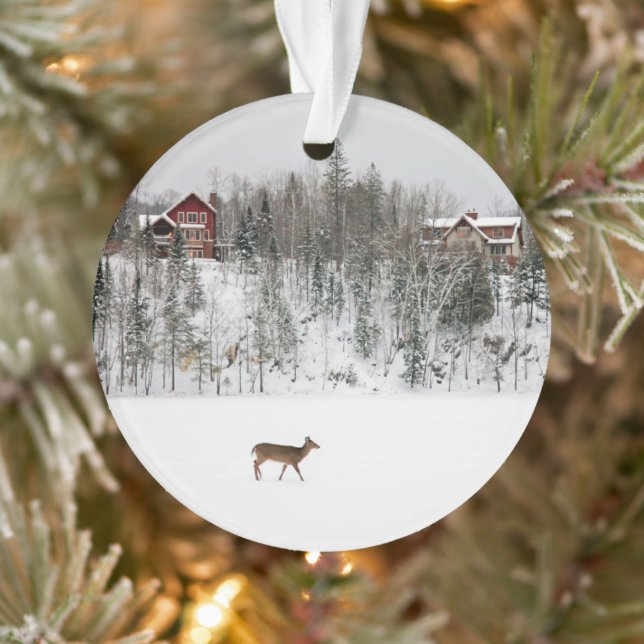 Glace et neige | Cerf en Neige Québec, Canada (Arbre)