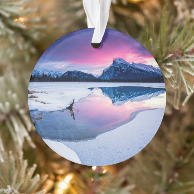 Glace et neige | Mt. Rundle, Canada (Arbre)