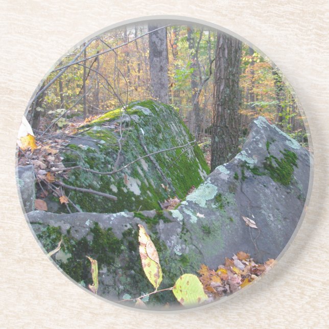 Glacial Boulders Montgomery County Pennsylania Coaster (Front)