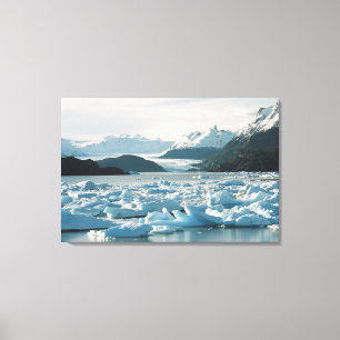 Glacial Icebergs Canvas Print