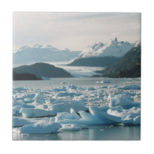 Glacial Icebergs Tile