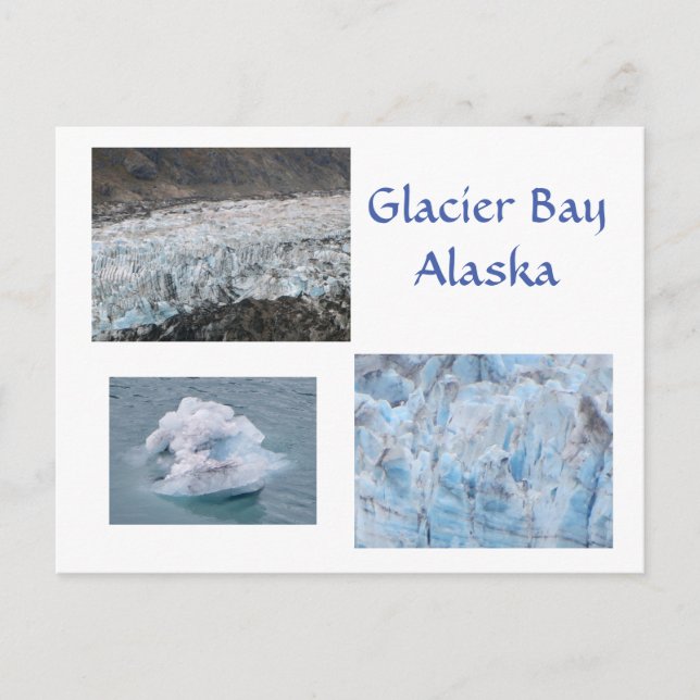 Glacier Bay Alaska Postcard (Front)