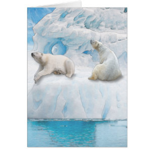 Glacier Bears - 5" x 7" Art Card
