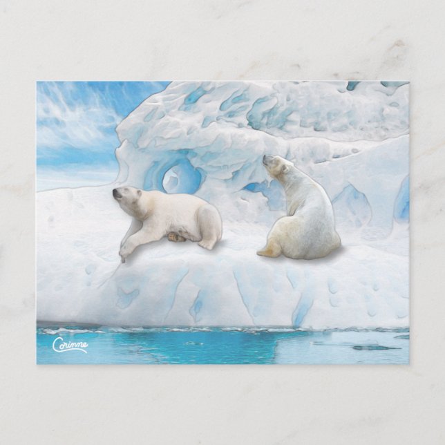 Glacier Bears - Postcard (Front)