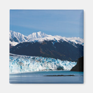Glacier Hubbard, Magnet de l'Alaska