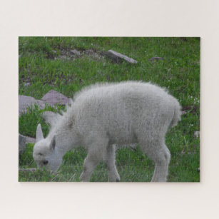 Glacier National Park Baby Mountain Goat Photo Jigsaw Puzzle