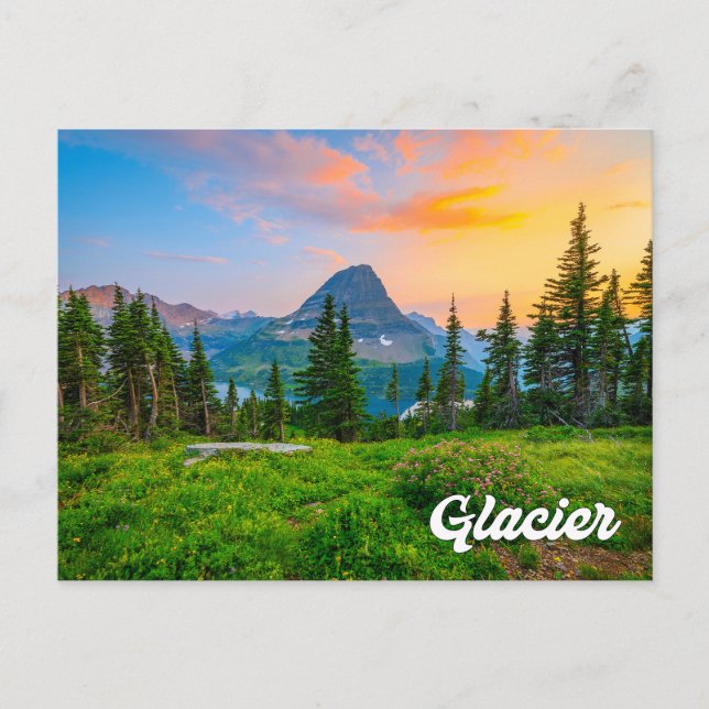 Glacier National Park, Montana, United States Postcard (Front)