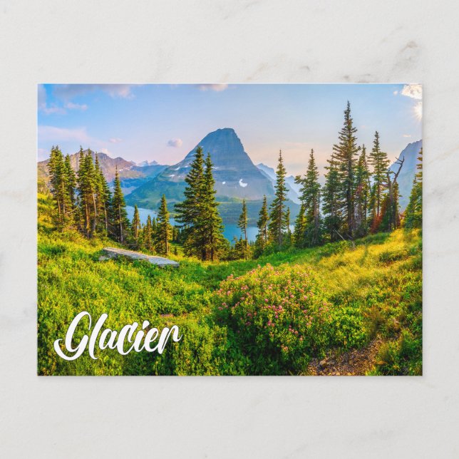 Glacier National Park, Montana, USA Postcard (Front)