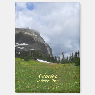Glacier National Park Mountain Meadow Photo Magnet