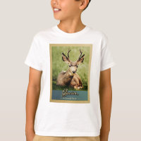 Glacier National Park Vintage Travel Deer