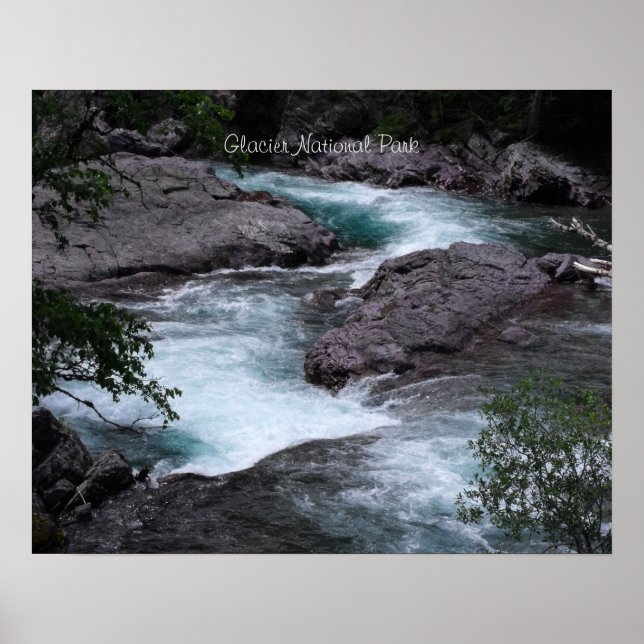 Glacier National Park Woodland Stream Photo  Poster (Front)