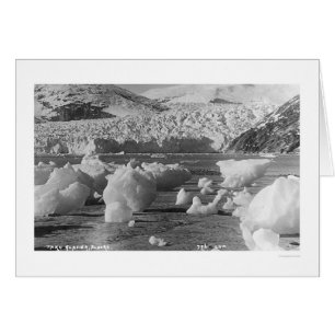 Glacier Taku Alaska 1914