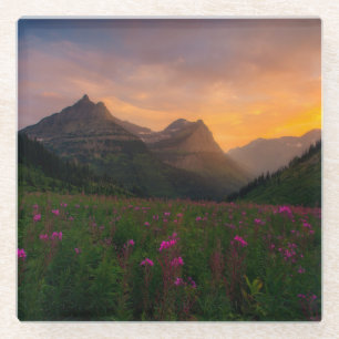 Glacier Wildflowers Glass Coaster